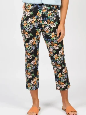 Vassalli PANTS|Slim Leg Pull On Pant | Grove